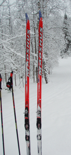 Cross Country Skis in Snowbank